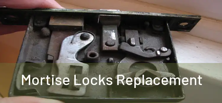  Mortise Locks Replacement 